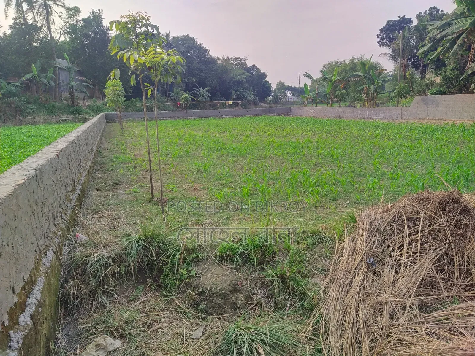 জমি বিক্রি
