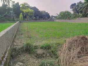 জমি বিক্রি