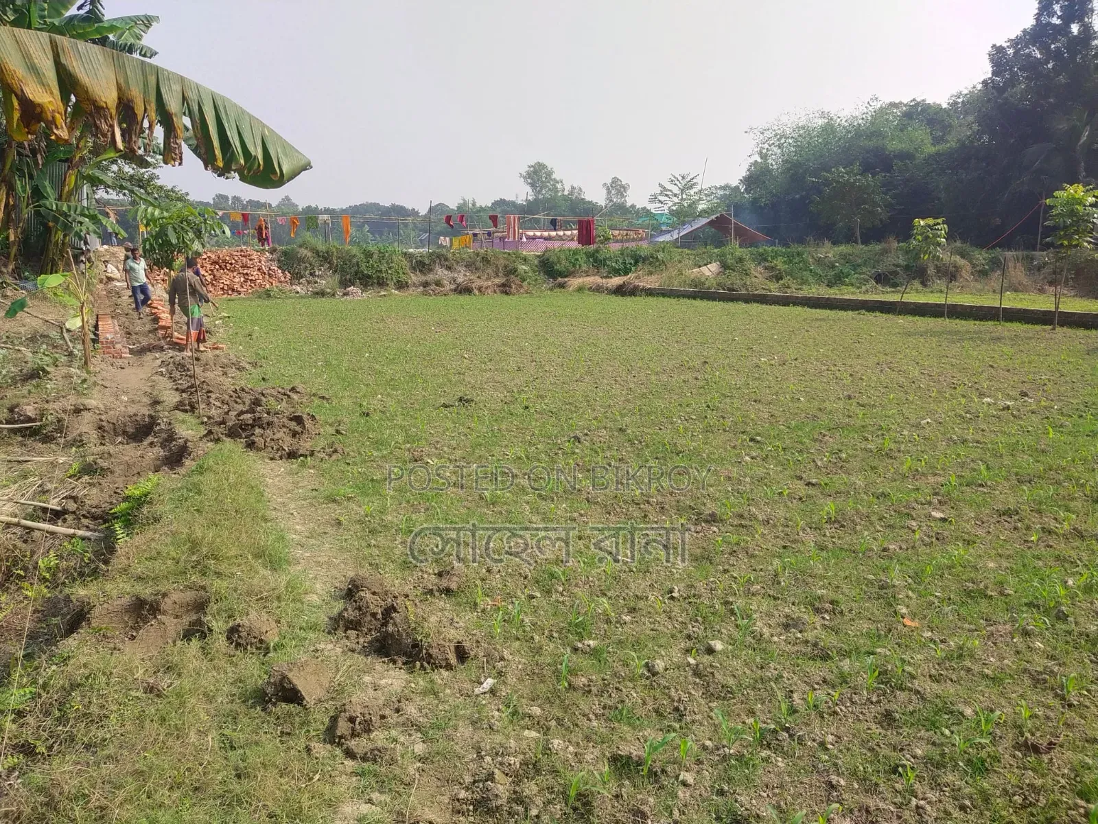 জমি বিক্রি