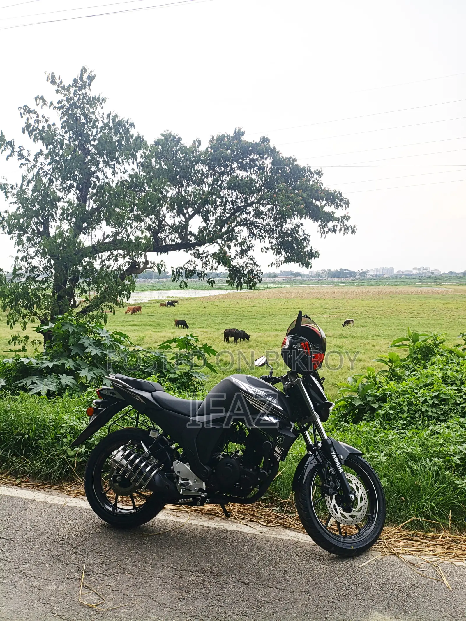 New Yamaha FZS V2 2026 Black