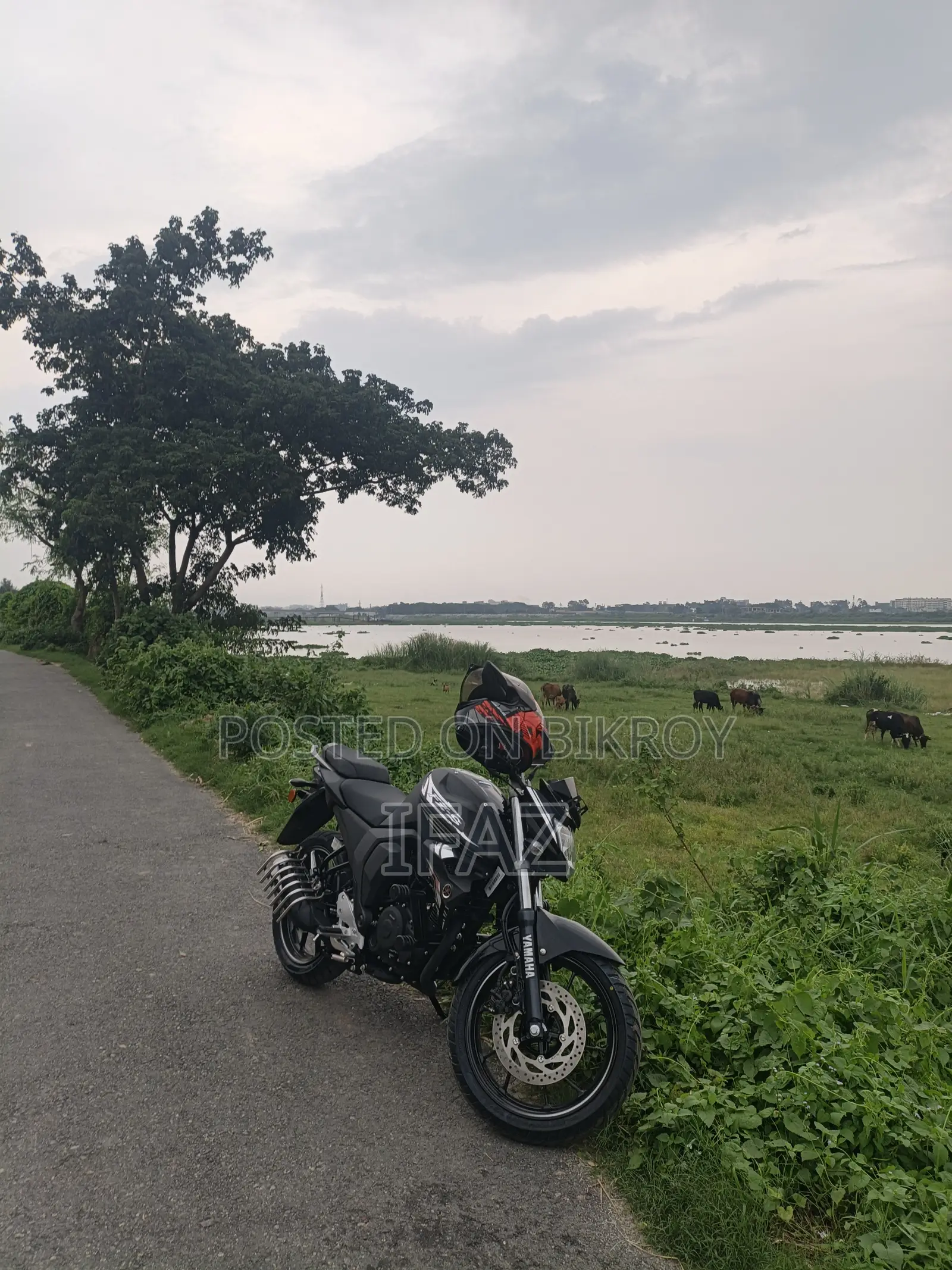 New Yamaha FZS V2 2026 Black