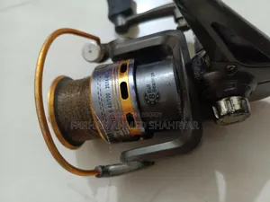 Fishing Rod