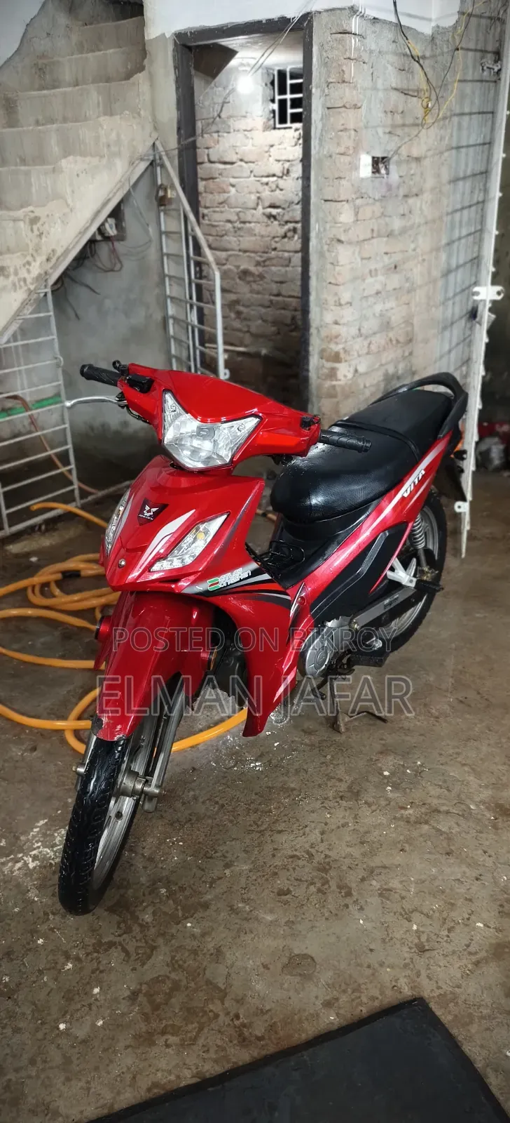 জংশেন ভিটা ২০২১ লাল