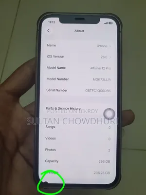 অ্যাপল আইফোন ১২ প্রো ২৫৬ জিবি রোজ গোল্ড