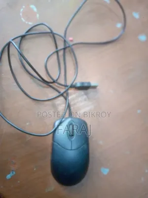 Mouse for Sale
