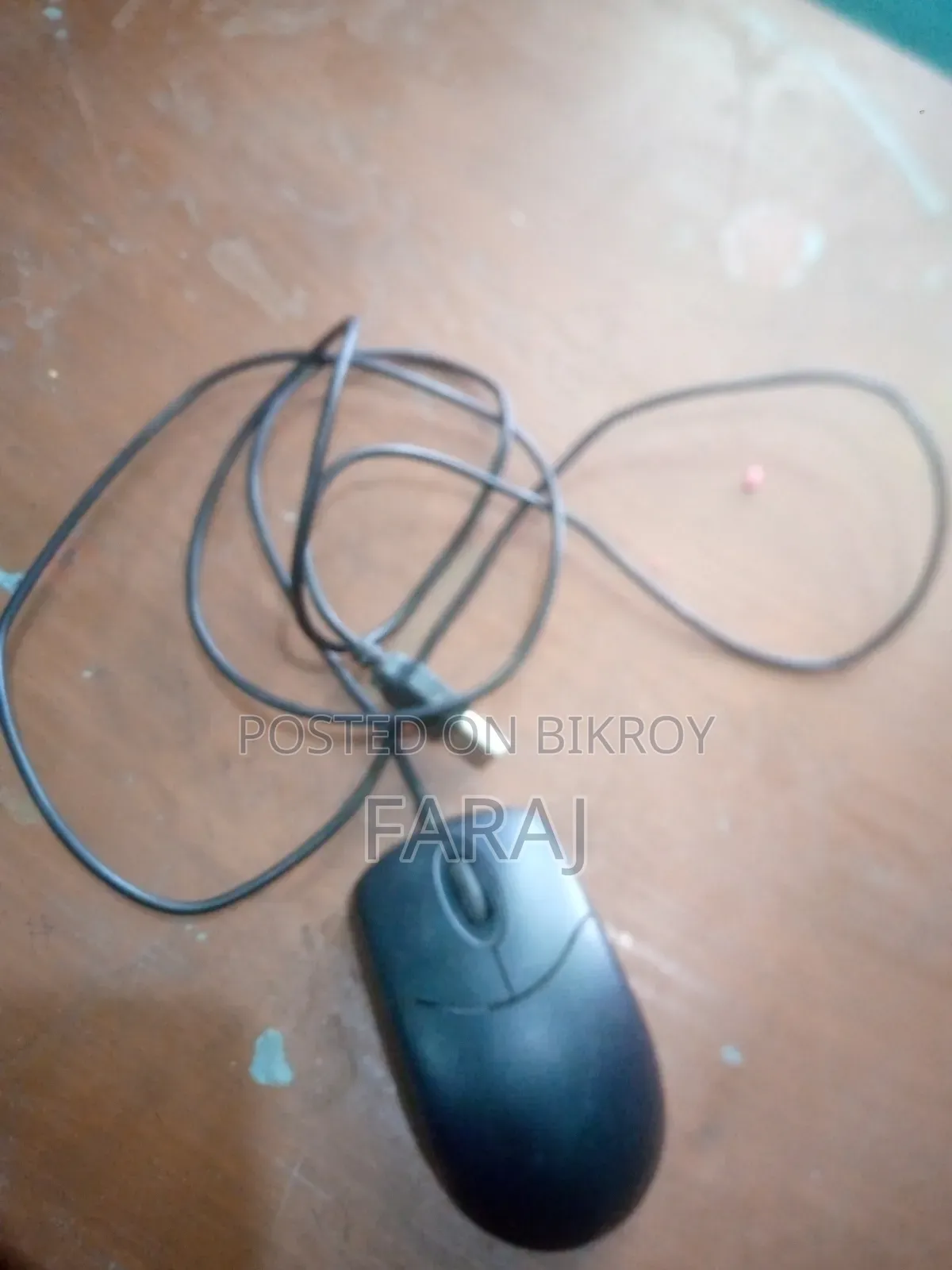 Mouse for Sale
