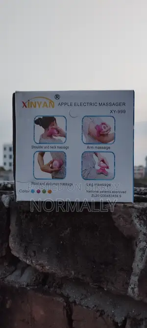 Electric Massager