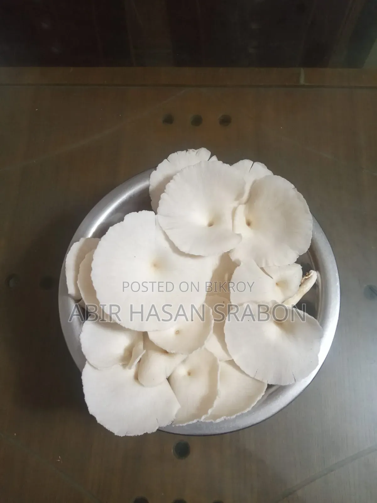 Oyster Mushroom