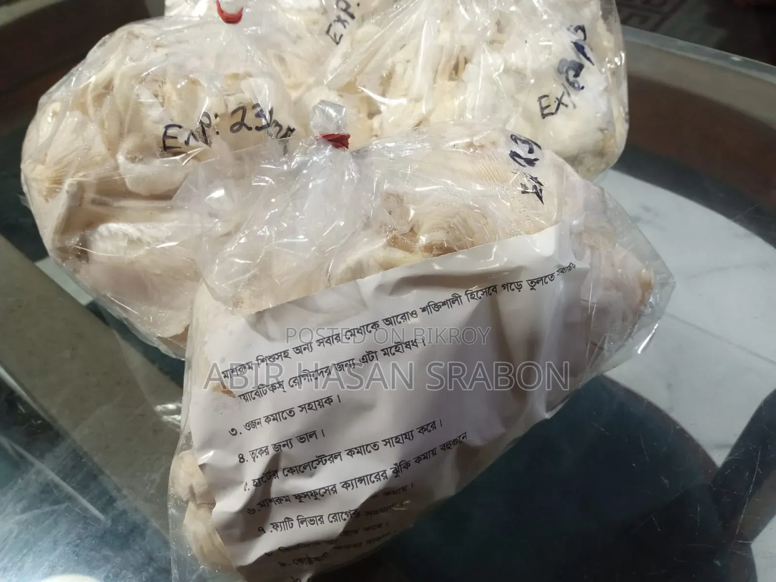 Oyster Mushroom