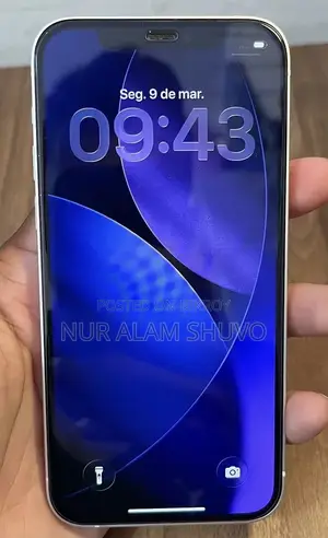 Apple iPhone 13 Pro Max 256 GB