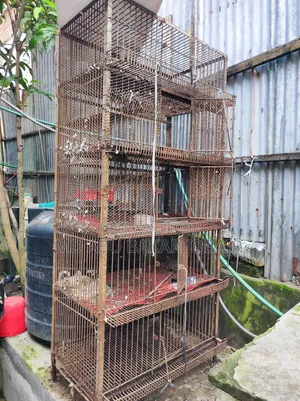 ১৫০ কেজি ৫ খোপের বড় কোয়েল/কবুতরের খাঁচা