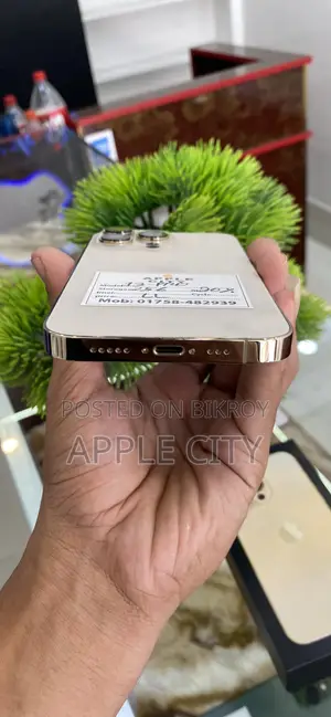 অ্যাপল আইফোন ১৩ প্রো ২৫৬ জিবি গোল্ড