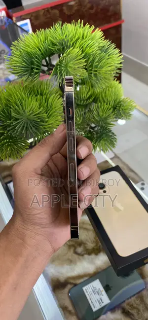 অ্যাপল আইফোন ১৩ প্রো ২৫৬ জিবি গোল্ড