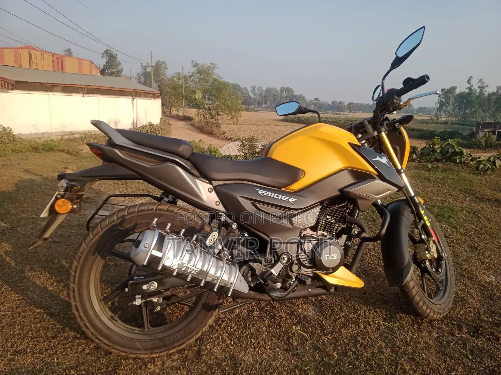নতুন টিভিএস রাইডার ১২৫ ২০২৪ হলুদ