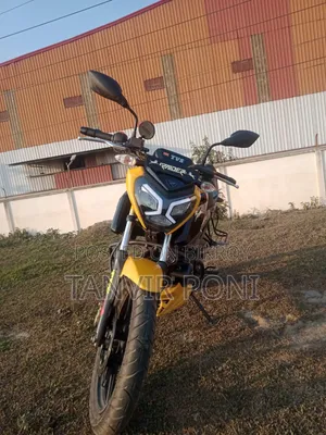 নতুন টিভিএস রাইডার ১২৫ ২০২৪ হলুদ