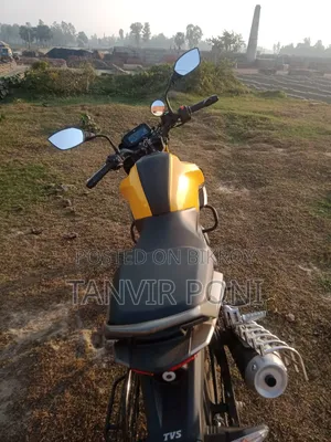 নতুন টিভিএস রাইডার ১২৫ ২০২৪ হলুদ