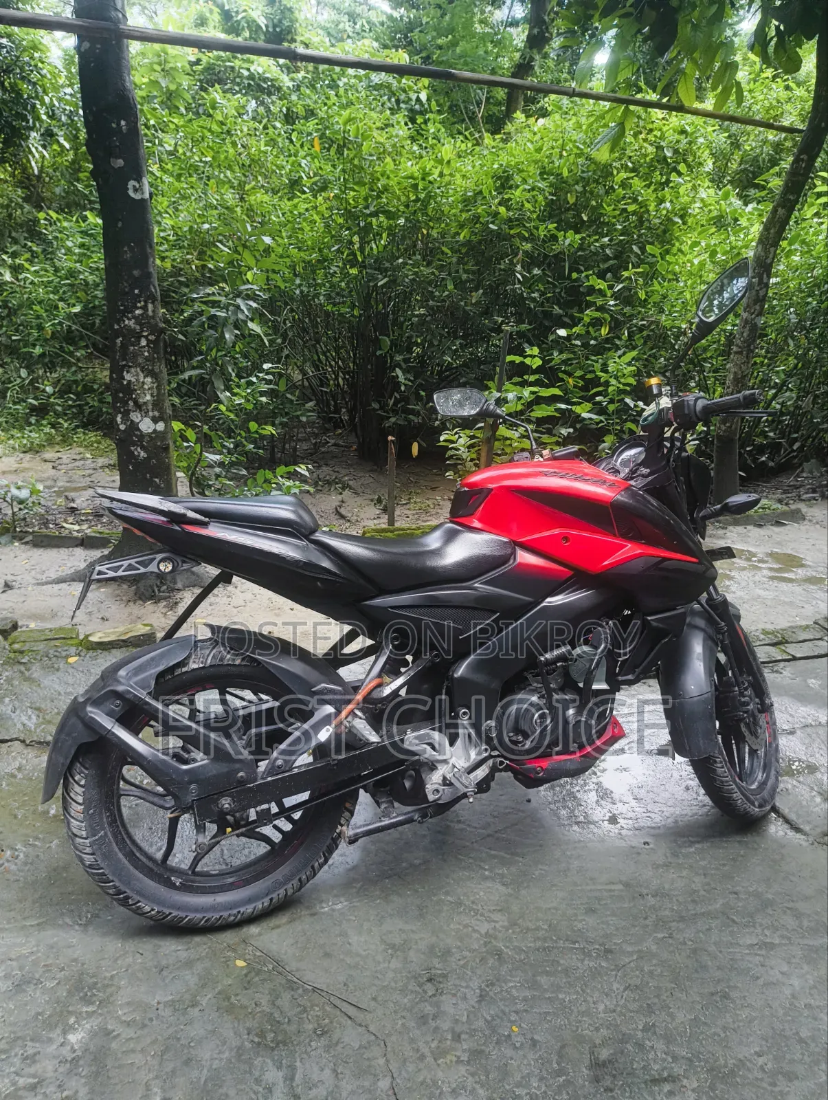 Bajaj Pulsar NS 160 2018 Red