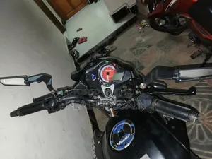 হিরো হাংক ২০২১ ব্লু