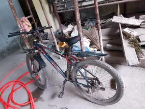 ফোনিক্স বাইসাইকেল