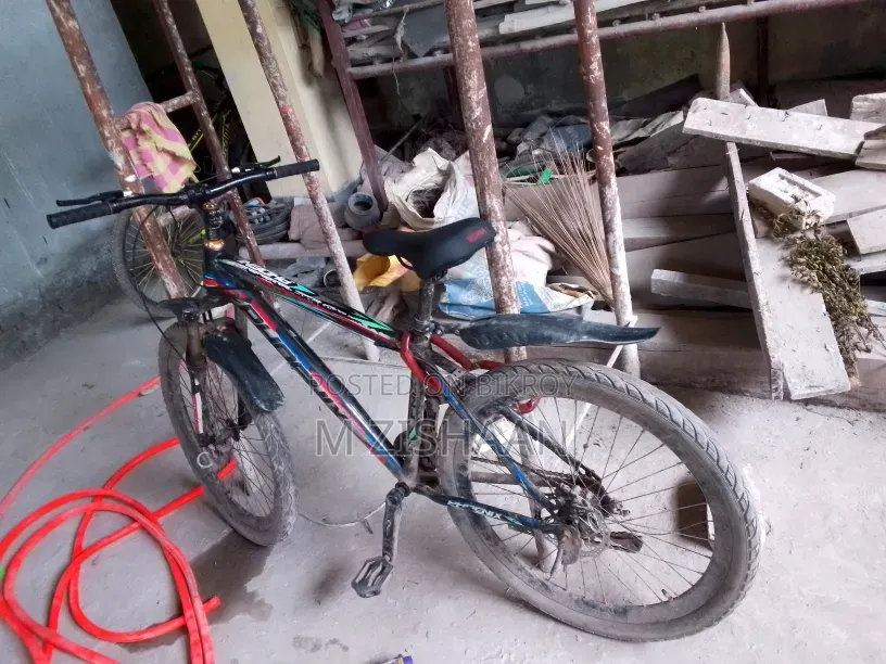 ফোনিক্স বাইসাইকেল