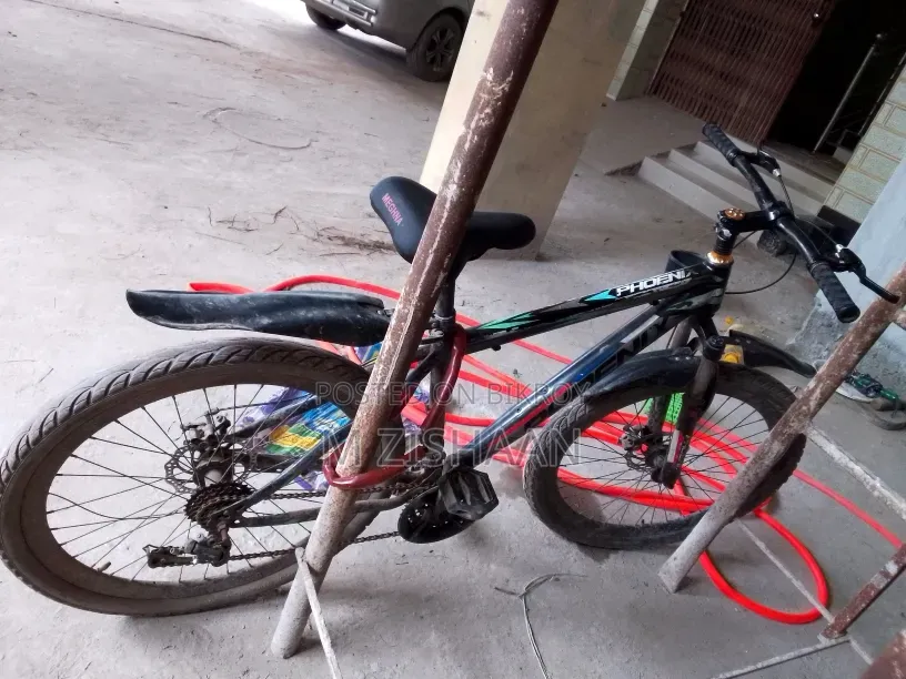 ফোনিক্স বাইসাইকেল