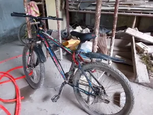 ফোনিক্স বাইসাইকেল