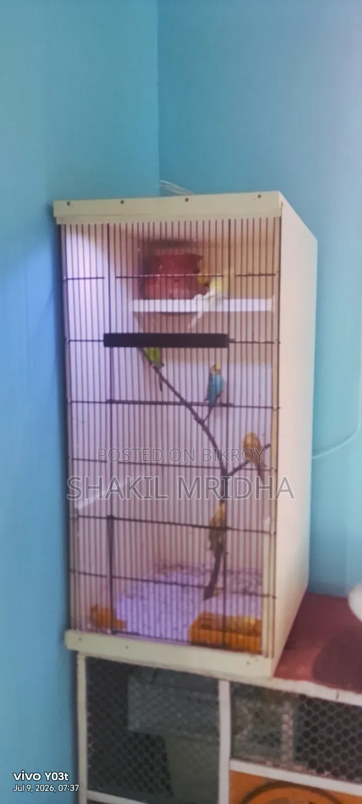 পাখির খাঁচা