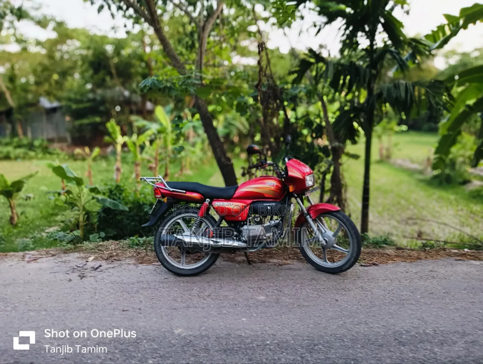 Hero Splendor Plus 2023 Red