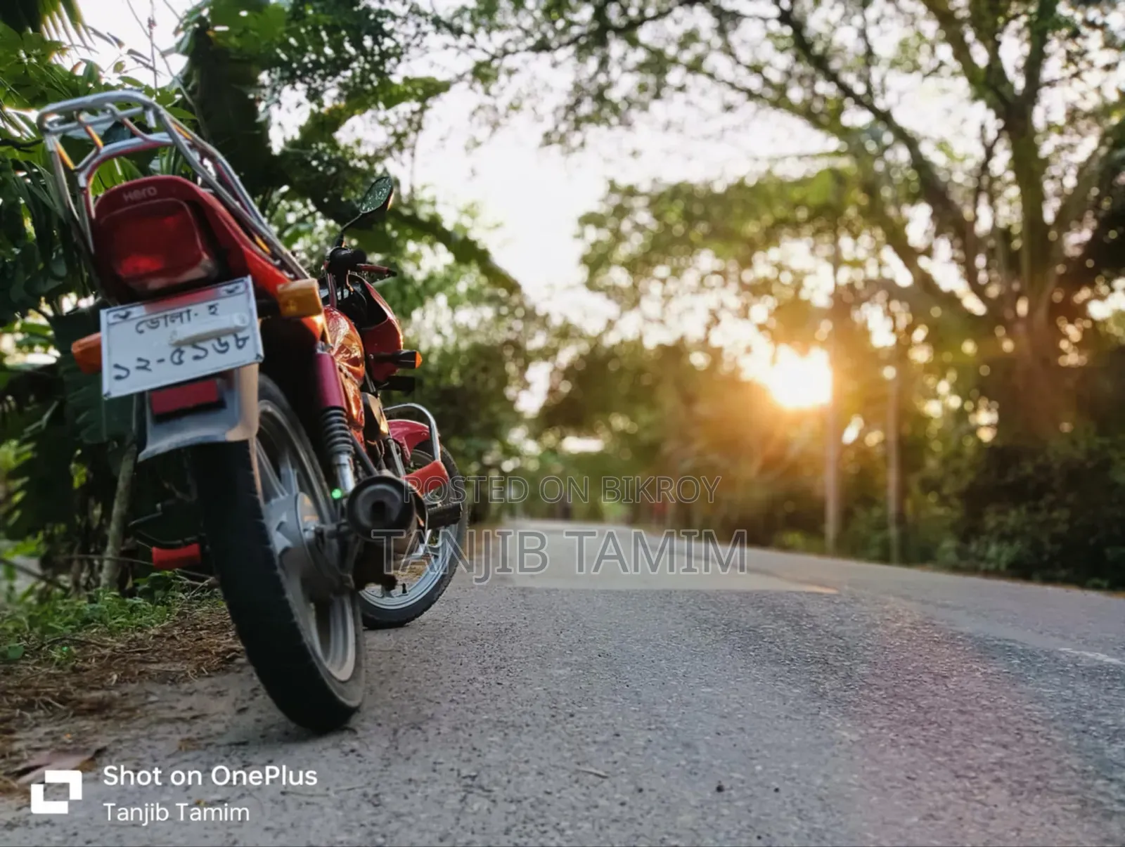 Hero Splendor Plus 2023 Red