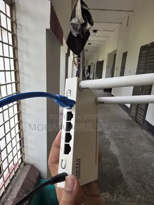 নেটিস ডাব্লুএফ১৯২৪ই ৩০০এমবিপিএস