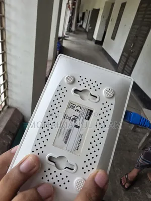 নেটিস ডাব্লুএফ১৯২৪ই ৩০০এমবিপিএস