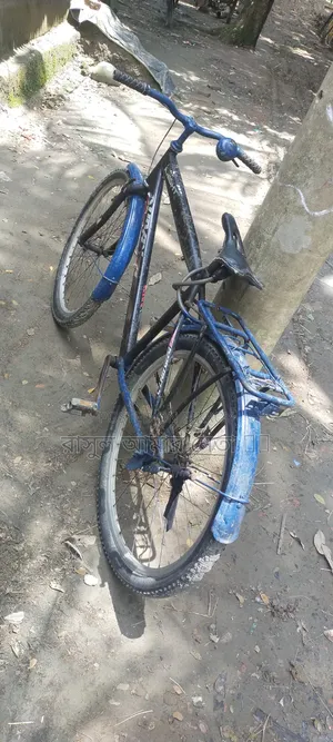 বাইসাইকেল ৩২ শো