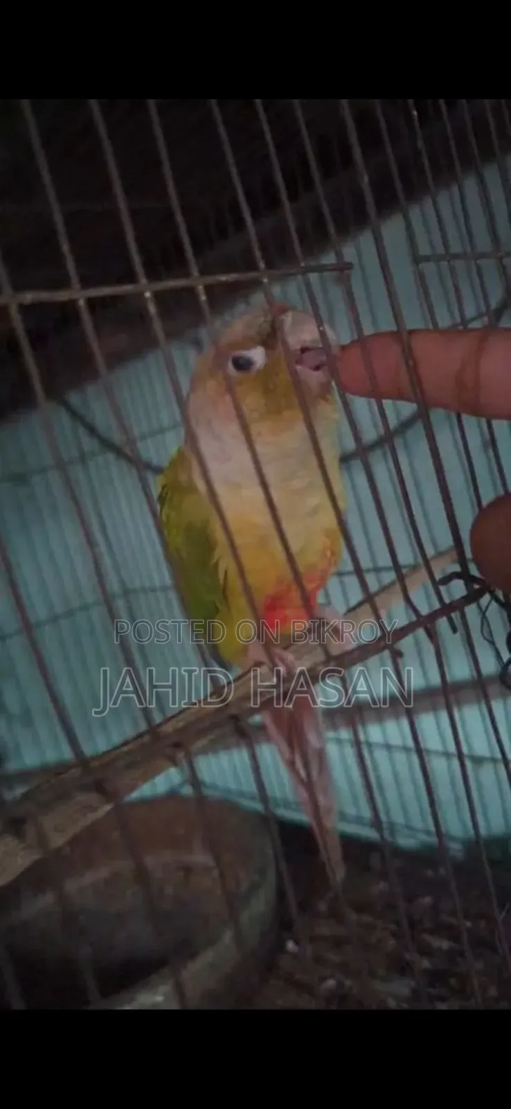একটি পাইনাপেল মিল কোন বিক্রি করা হবে