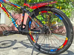 দুরন্ত বাইসাইকেল নন গিয়ার