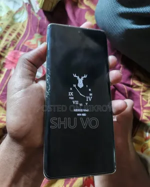 শাওমি সিভি ১এস ২৫৬ জিবি