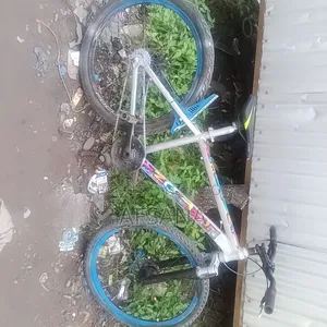 বাই সাইকেল