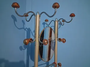 ক্লোথ হাঙ্গার উইথ মিরর