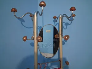 ক্লোথ হাঙ্গার উইথ মিরর