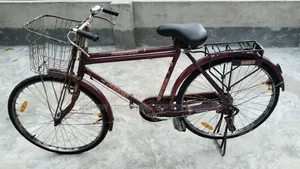 ইন্ডিয়ান হিরো বাই সাইকেল