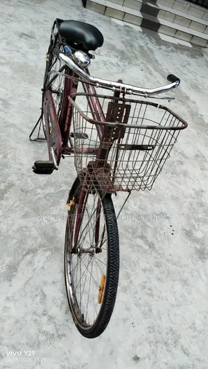 ইন্ডিয়ান হিরো বাই সাইকেল