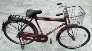 ইন্ডিয়ান হিরো বাই সাইকেল