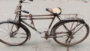 Phoenix Cycle