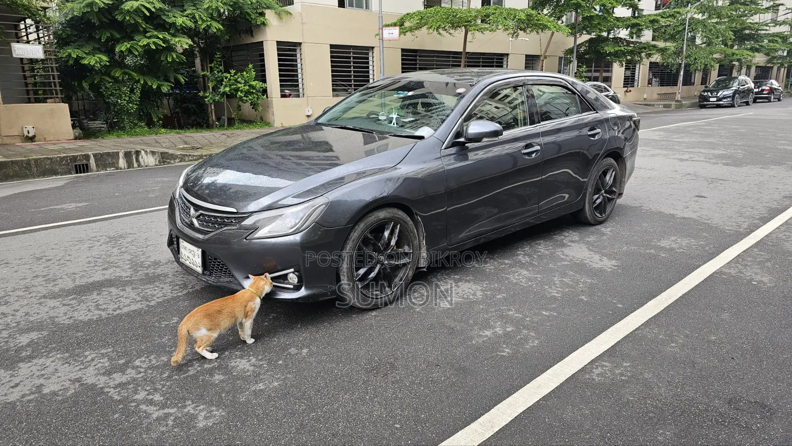 Toyota Mark X 2010 Gray