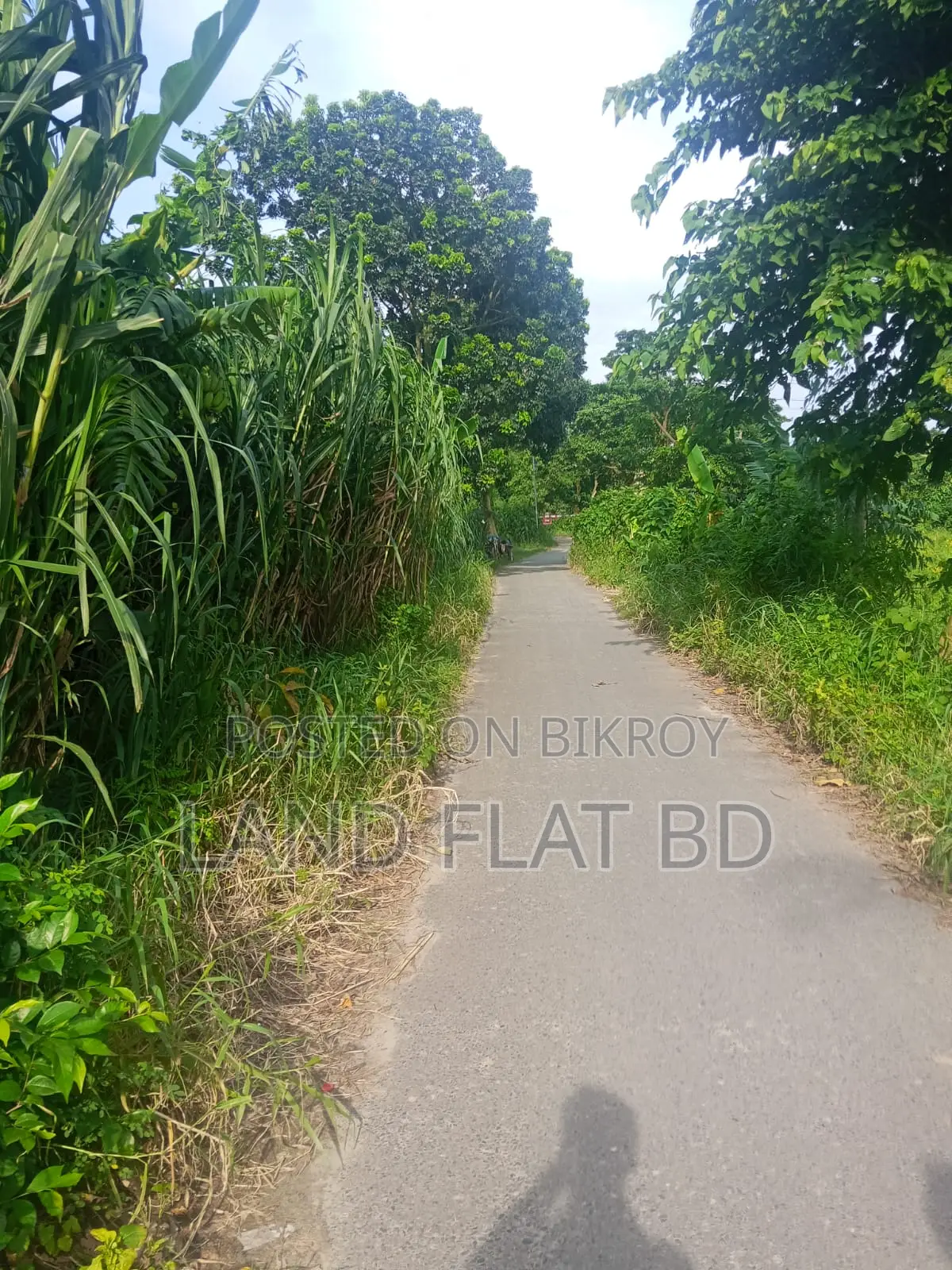 মেন রাস্তায় বাড়ি তৈরির উপযোগী ২০ শতাংশ রেডি প্লট বিক্রয়