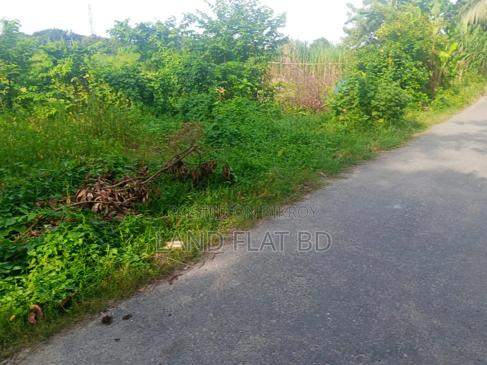 মেন রাস্তায় বাড়ি তৈরির উপযোগী ২০ শতাংশ রেডি প্লট বিক্রয়
