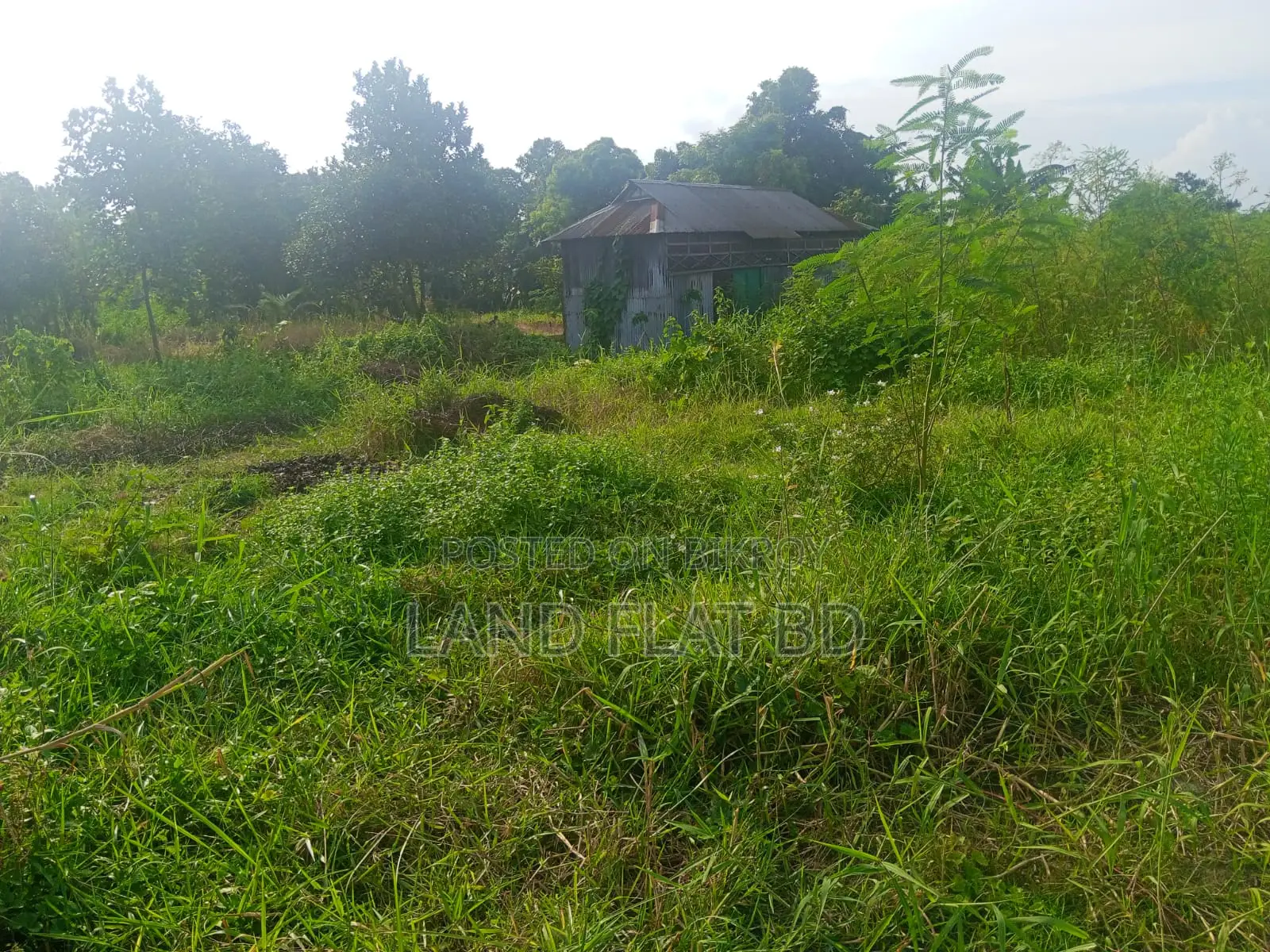 মেন রাস্তায় বাড়ি তৈরির উপযোগী ২০ শতাংশ রেডি প্লট বিক্রয়