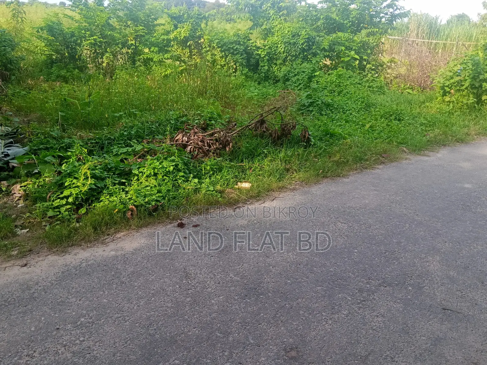মেন রাস্তায় বাড়ি তৈরির উপযোগী ২০ শতাংশ রেডি প্লট বিক্রয়