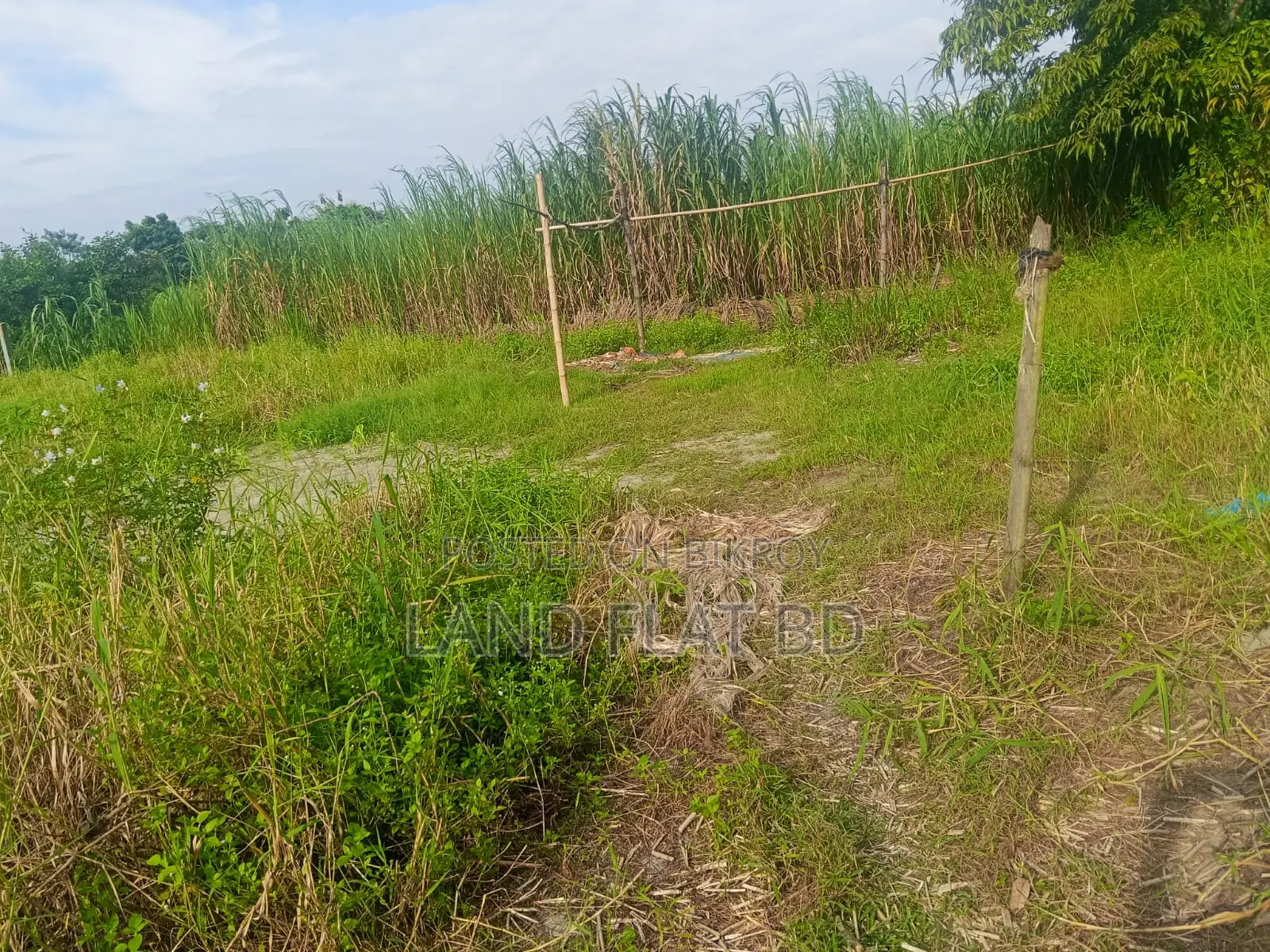 মেন রাস্তায় বাড়ি তৈরির উপযোগী ২০ শতাংশ রেডি প্লট বিক্রয়