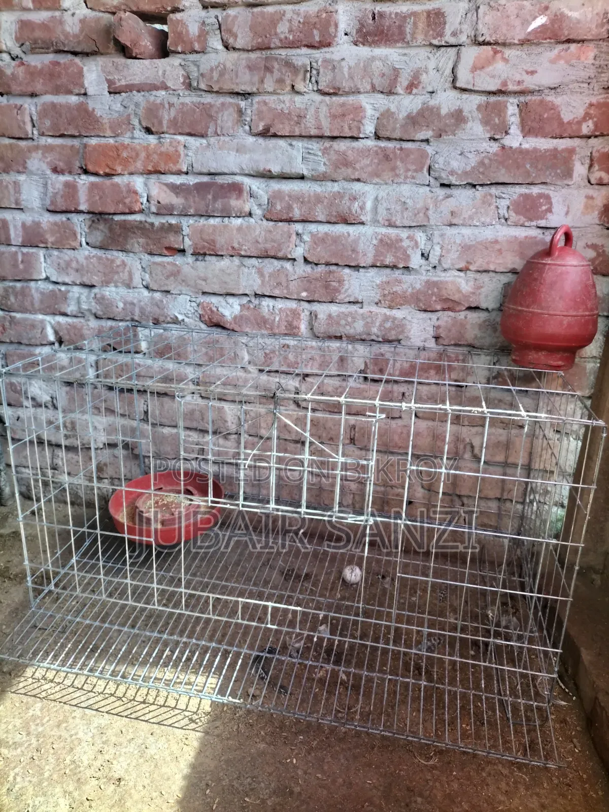 ডিম পাড়া মুরগির খাঁচা ভিতরে