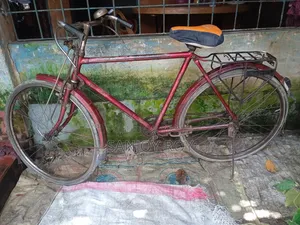 Bicycle for sale